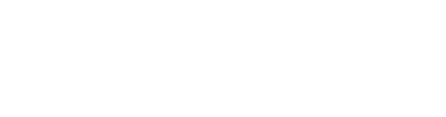 Evolve Systems